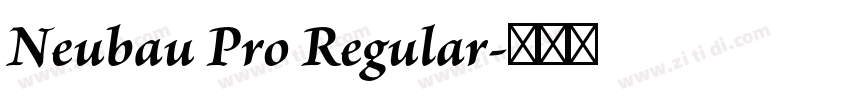 Neubau Pro Regular字体转换